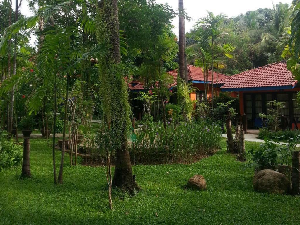 Tradewinds Cottages Κο Σαμούι Εξωτερικό φωτογραφία